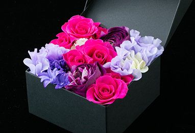 Petal, Flower, Purple, Bouquet, Cut flowers, Pink, Violet, Flowering plant, Magenta, Rose family, 