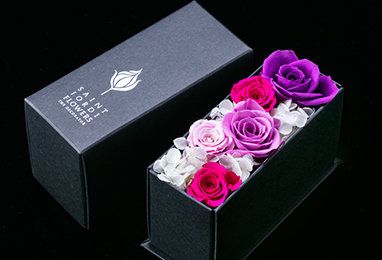 Petal, Flower, Purple, Pink, Violet, Flowering plant, Magenta, Garden roses, Lavender, Rose family, 