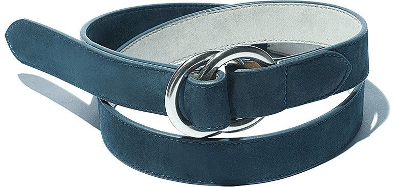 Belt, Belt buckle, Buckle, Fashion accessory, Strap, Material property, Leash, Collar, Leather, Dog collar, 