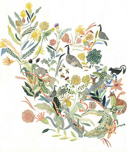 Organism, Bird, Flower, Art, Botany, Flowering plant, Beak, Hummingbird, Illustration, Painting, 