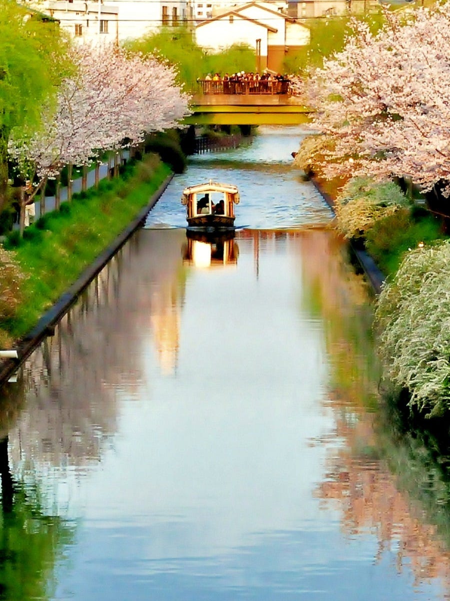婦人画報