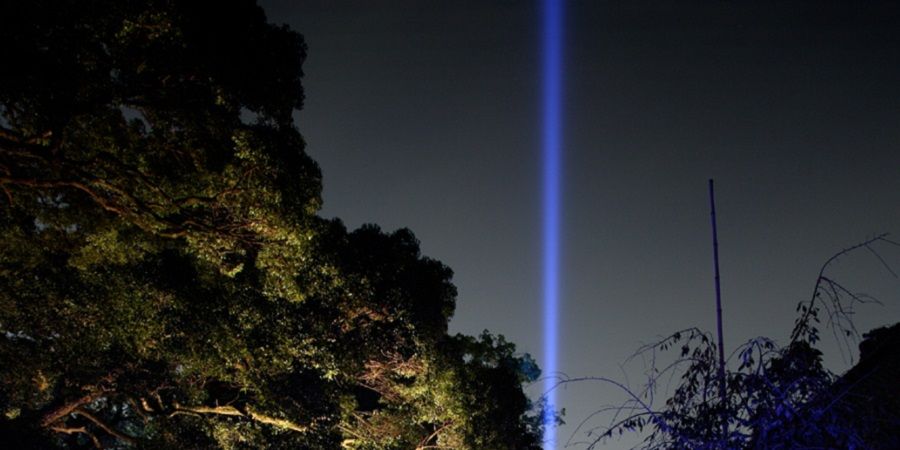 青蓮院 春の夜間特別拝観 ライトアップ