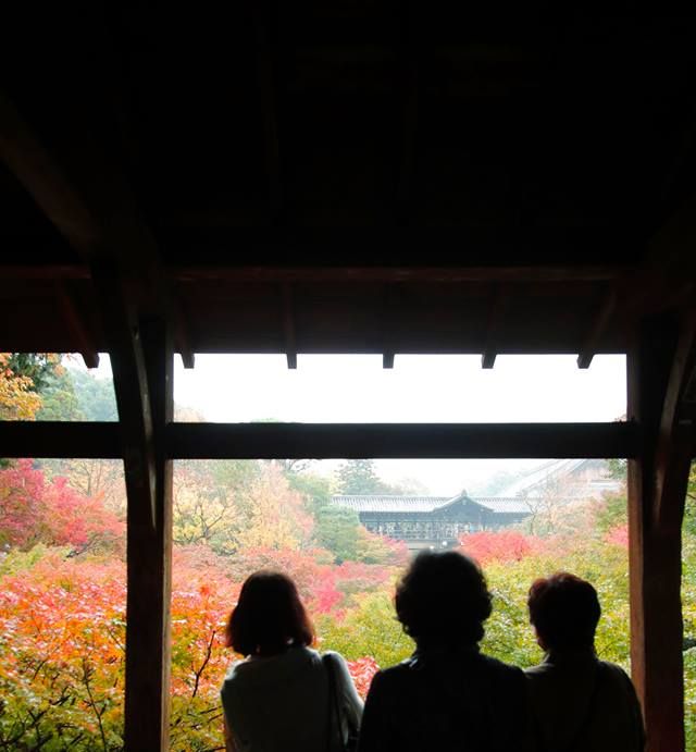 きょうの京 雨にけぶる東福寺 通天橋