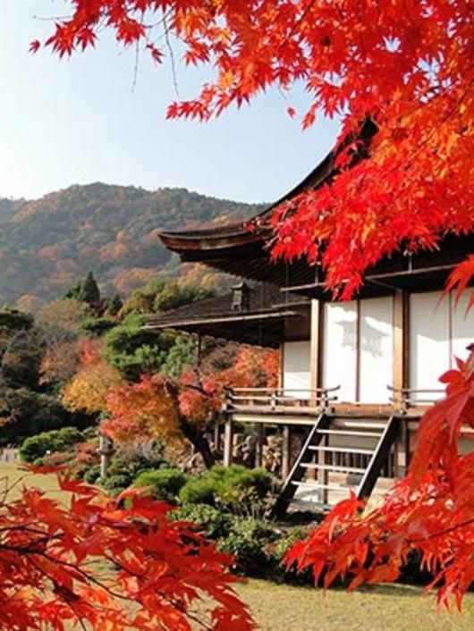 京都人がこっそり教える 私の好きな秘密の紅葉 スポット