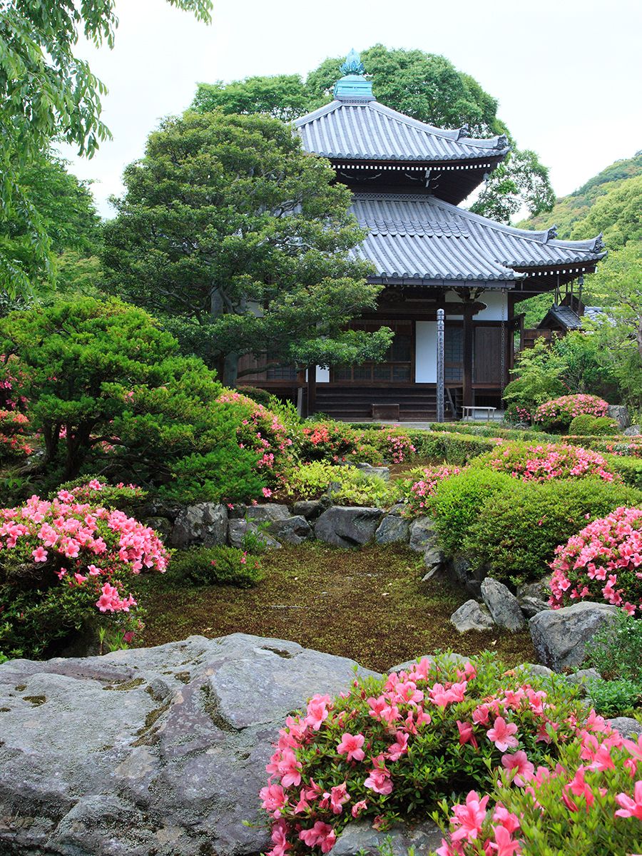 京都 桜と花さんぽ 5月 皐月