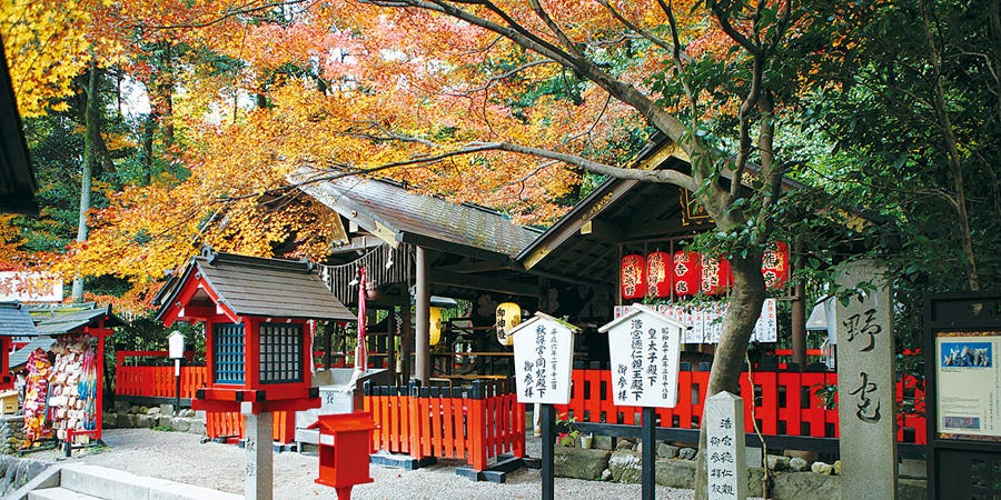 野宮神社 野宮神社