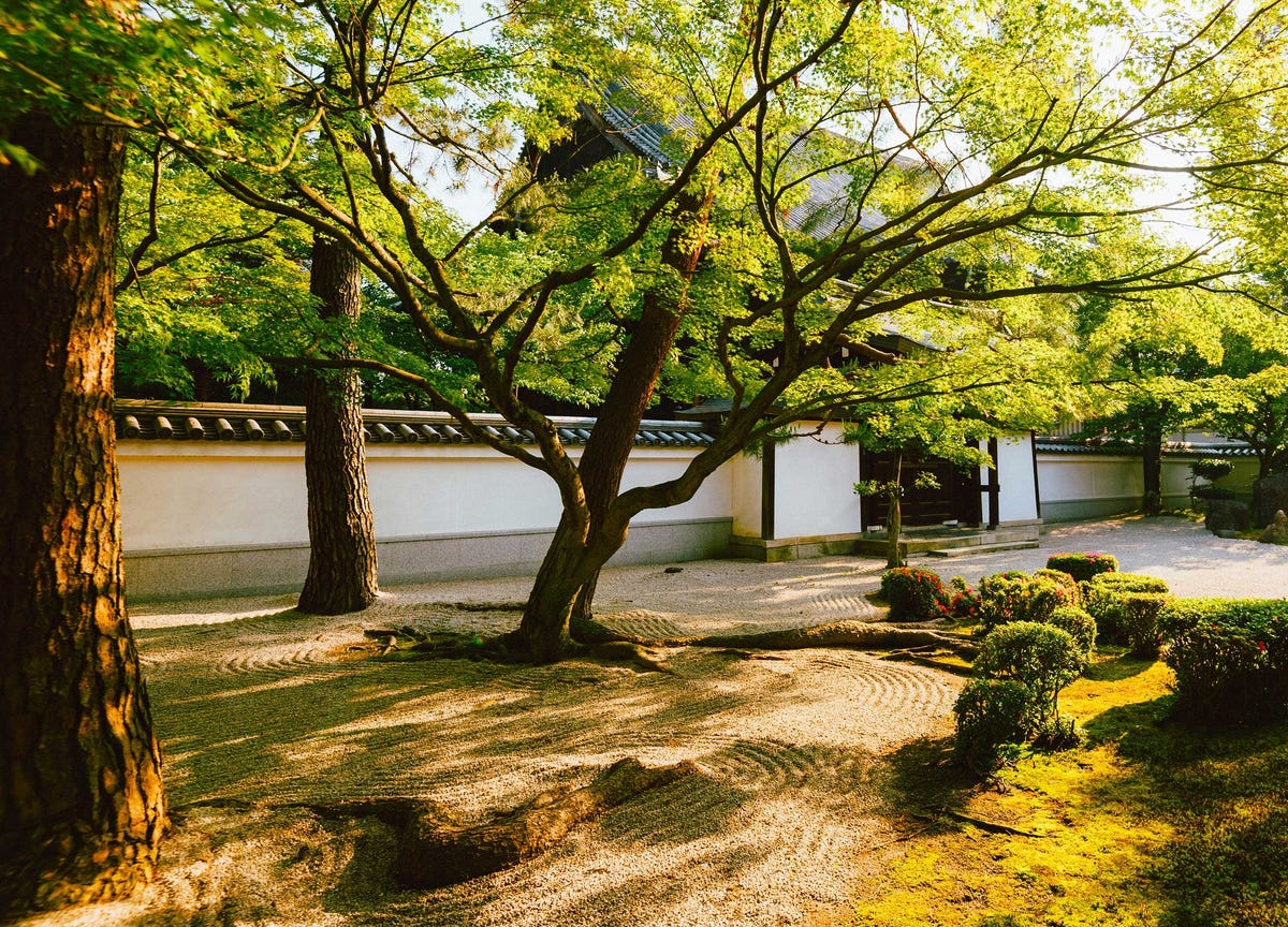 和の暦 葉月 8月13日 寒蟬鳴 七十二候 第38候 夏の終わりが近づく 和の暦 葉月 8月13日 寒蟬鳴 七十二候 第38候 夏の終わりが近づく