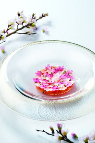 桜の三都 お花見ランチを楽しめる新店へ 東京編