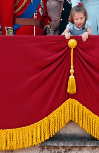 トゥルーピング ザ カラー18もやっぱり主役 ジョージ王子とシャーロット王女のかわいい瞬間22