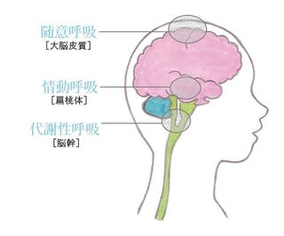 婦人画報