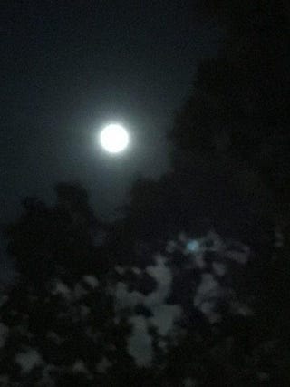 中秋の名月きれいなお月様を見ることができ