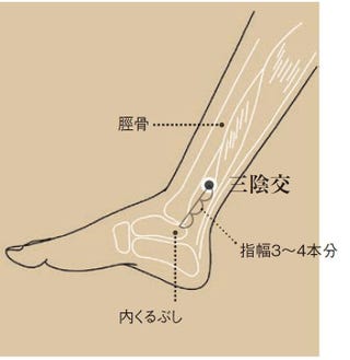 一灸入魂のセルフケア お灸道 更年期の不調に効くツボ
