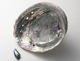 ミキモトでパールのすべてを体感 圧巻の Feel The Pearl 感じるパール展 へ ミキモトでパールのすべてを体感 圧巻の Feel The Pearl 感じるパール展 へ