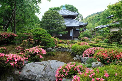 京都 桜と花さんぽ 5月 皐月 京都 桜と花さんぽ 5月 皐月