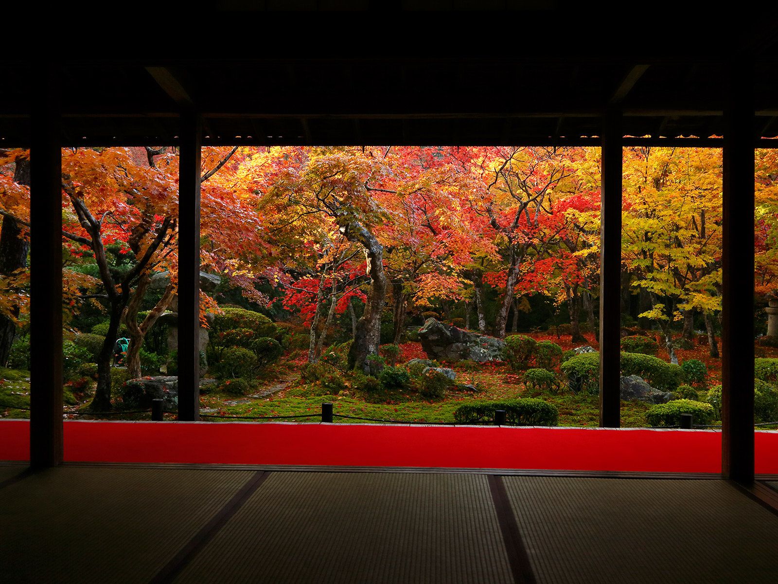 瑞巌山 圓光寺