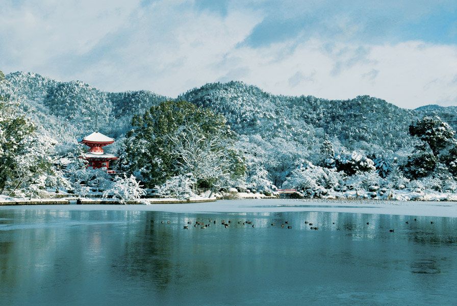 okadoのブログ～yoritomo-japan～: 北鎌倉：圓應寺の十王