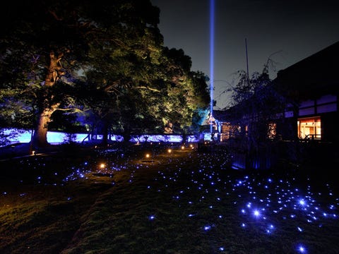 青蓮院 春の夜間特別拝観 ライトアップ 青蓮院 春の夜間特別拝観 ライトアップ