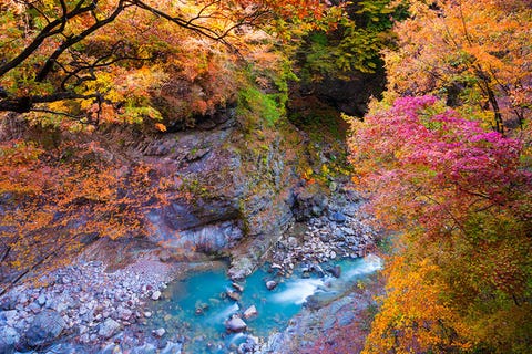 紅葉シーズンの到来 日帰りでも楽しめる関東近郊の紅葉スポット