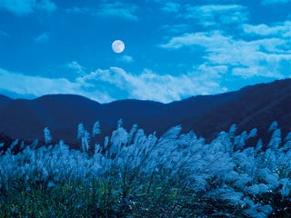 和の暦 長月 9月28日 蟄虫坯戸 七十二候 第47候 虫たちが冬ごもりの支度をする
