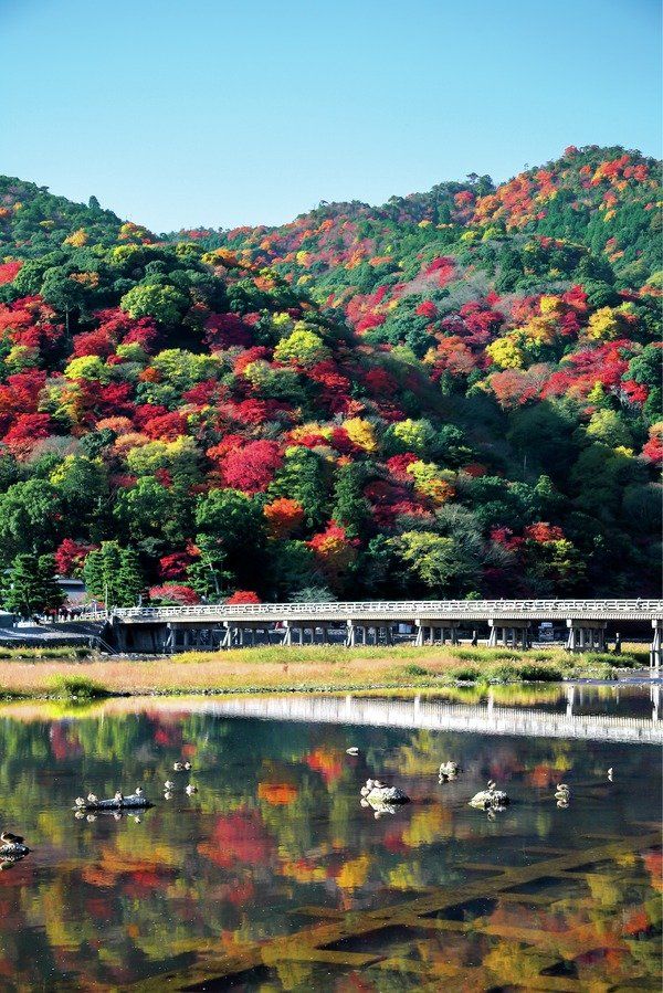 世界一紅葉が美しい街、京都の絶景スポット