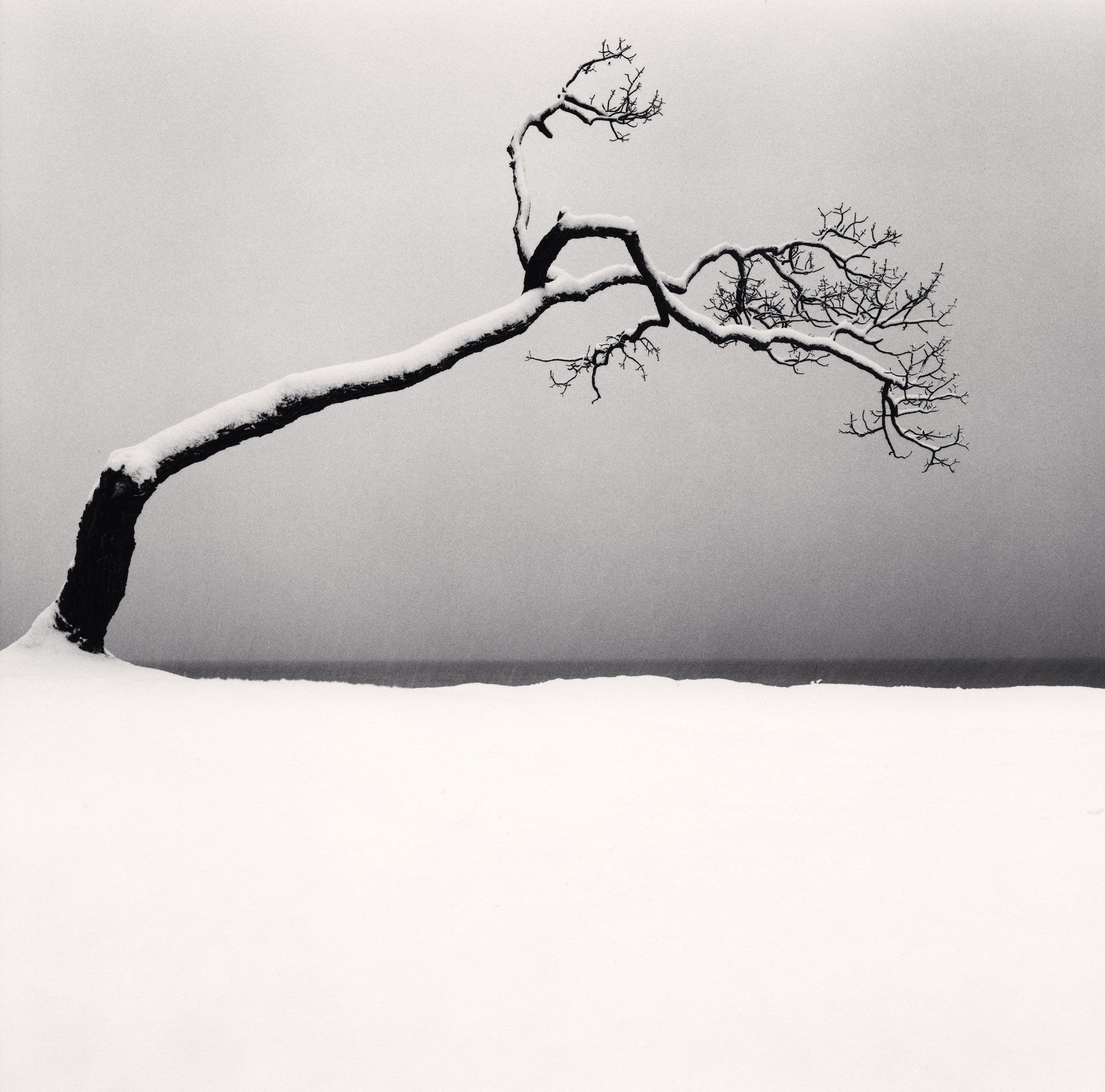 Amazon.co.jp: MICHAEL KENNA「HOKKAIDO」—マイケル・ケンナ写真