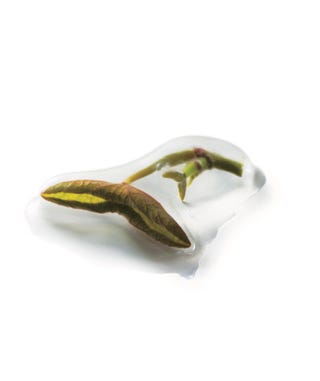 7月の 京の味 緒方 の じゅんさいの黒蜜餡 で暑気を払う 7月の 京の味 緒方 の じゅんさいの黒蜜餡 で暑気を払う