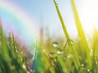 和の暦 卯月 4月15日 虹始見 七十二候 第15候 雨上がりの空に虹がかかる 和の暦 卯月 4月15日 虹始見 七十二候 第15候 雨上がりの空に虹がかかる