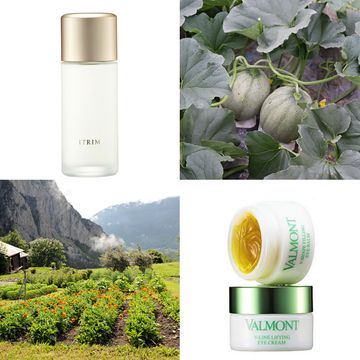 Product, Beauty, Plant, Herbal, Herb, Flower, Bottle, Skin care, 