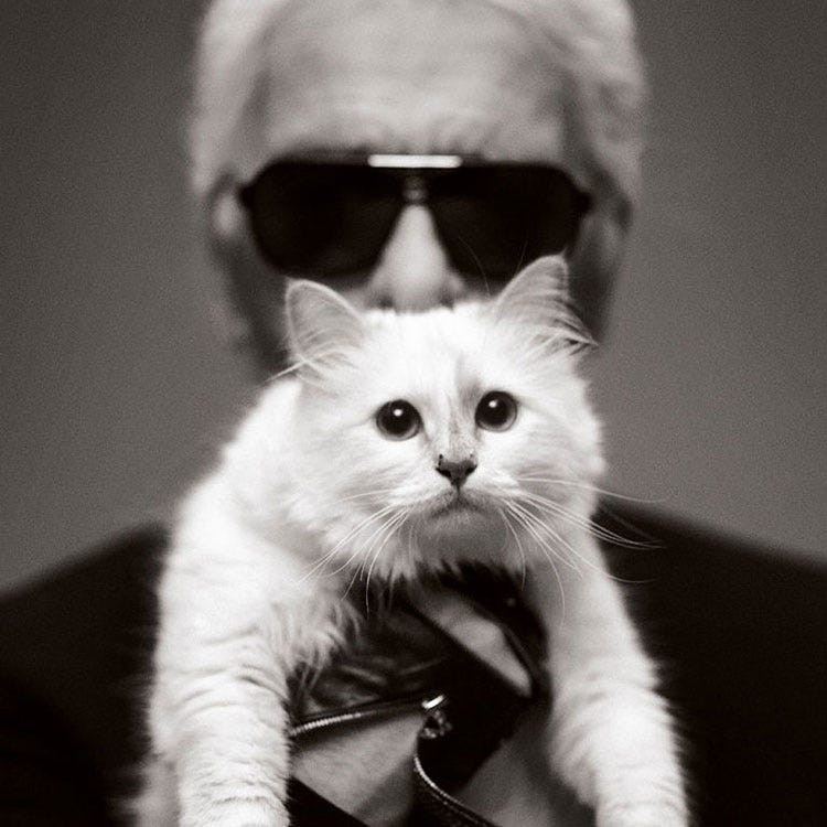 カール ラガーフェルドの愛猫シュペットのインスタグラムが ハッキングの被害に ハーパーズ バザー Harper S Bazaar 公式