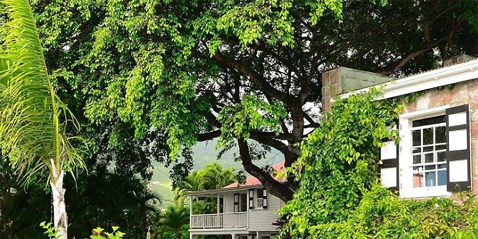 Vegetation, Green, Property, House, Tree, Building, Botany, Architecture, Real estate, Home, 