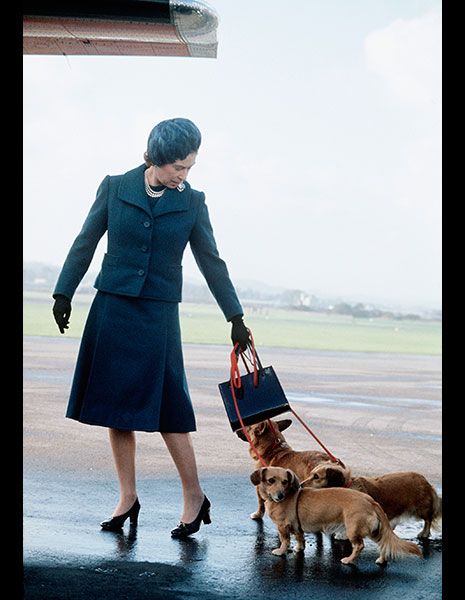 LIFE雑誌　1961年2月3日号　故エリザベス女王インド訪問 LIFE雑誌 1961年2月3日号 故エリザベス女王インド訪問 - 雑誌