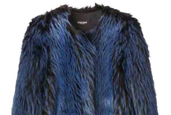 Clothing, Blue, Fur, Outerwear, Sleeve, Coat, Fur clothing, Textile, Jacket, Natural material, 