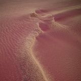 Skin, Pink, Natural environment, Close-up, Purple, Sand, Sky, Muscle, Landscape, Dune, 