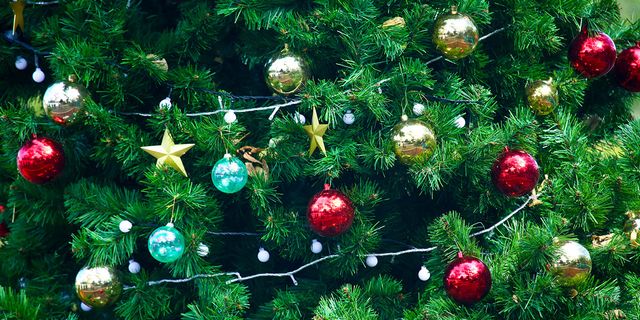 Christmas ornament, Christmas tree, Christmas decoration, Christmas, Holiday ornament, oregon pine, Tree, Ornament, Plant, Evergreen, 