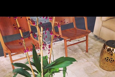 Flowering plant, Vase, Centrepiece, Interior design, Flower Arranging, Flowerpot, Plant stem, Creative arts, Floristry, Houseplant, 