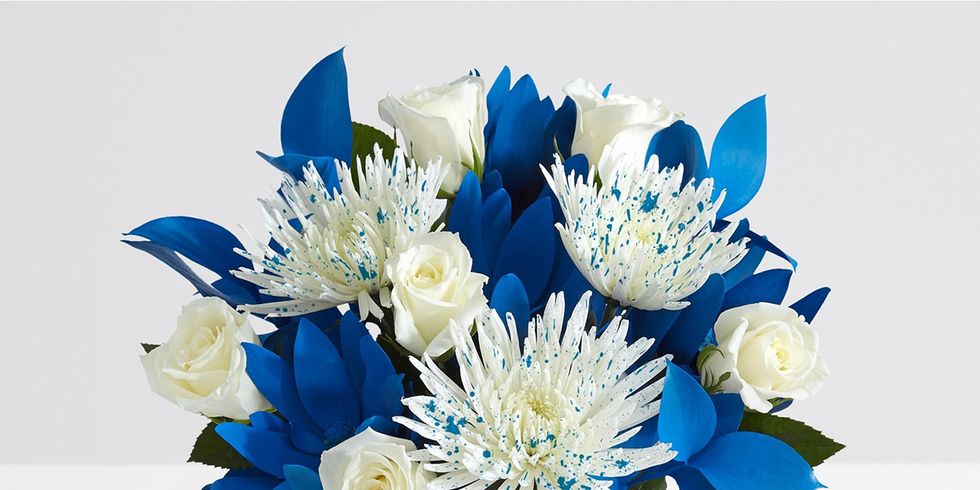 Flower, Blue, Bouquet, Cut flowers, Plant, Flowering plant, Flowerpot, Petal, Floristry, Flower Arranging, 