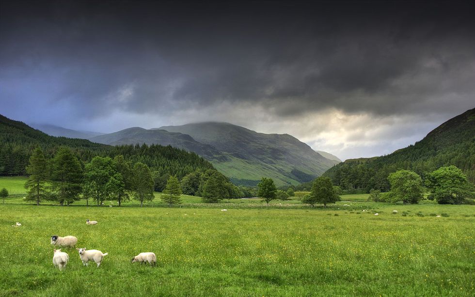 Highland, Natural landscape, Grassland, Pasture, Nature, Green, Mountainous landforms, Sky, Mountain, Natural environment, 