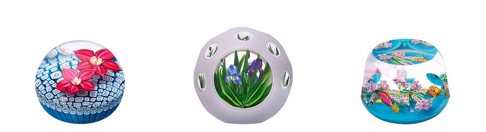 Violet, Product, Lavender, Purple, Flower, Plant, Iris, 