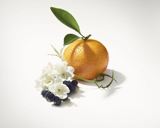 Still life photography, Fruit, Plant, Yuzu, Food, Still life, Leaf, Tangerine, Citrus, Clementine, 