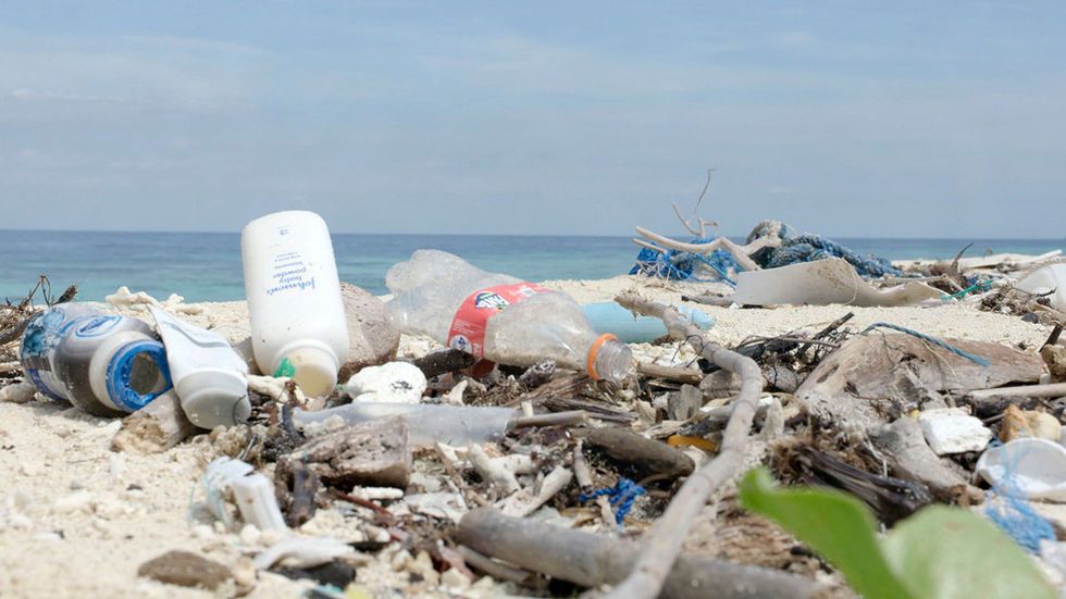 Waste, Litter, Pollution, Plastic, Sea, Plastic bottle, Coast, 
