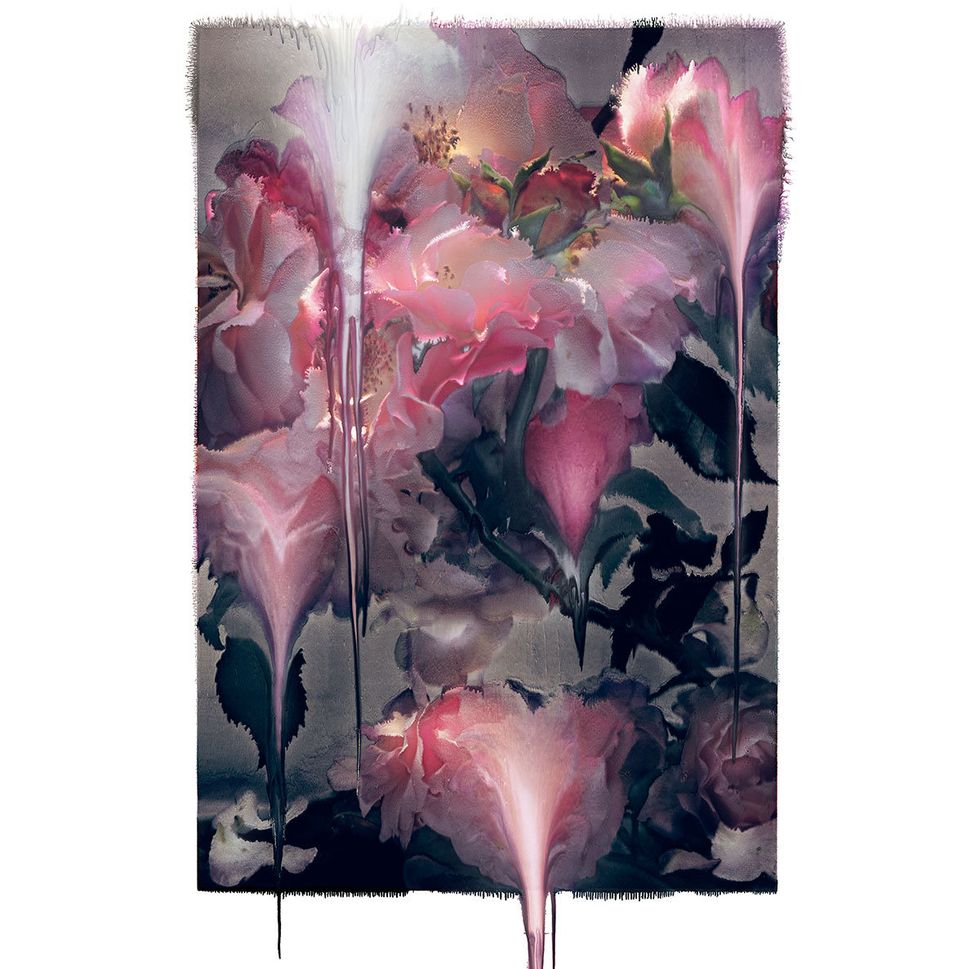 Pink, Flower, Plant, Watercolor paint, Tree, Flowering plant, Modern art, Art, Petal, Anthurium, 