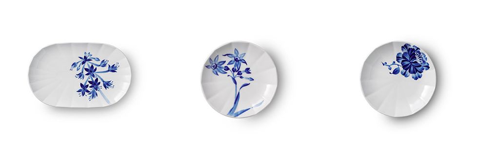 Cobalt blue, Blue, Porcelain, Leaf, Plate, Dishware, Paperweight, Fashion accessory, Blue and white porcelain, Plant, 