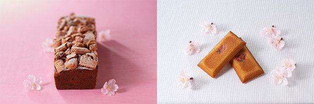 Petal, Paper product, Paper, Confectionery, Sweetness, Creative arts, Finger food, 