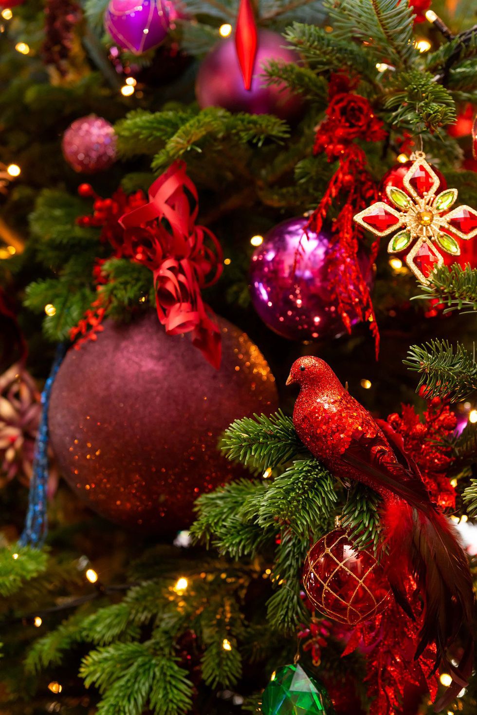 Christmas ornament, Christmas decoration, Christmas, Christmas tree, Spruce, Holiday ornament, Tree, Fir, Ornament, Tradition, 