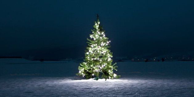Christmas tree, Tree, Nature, Blue, Christmas decoration, Winter, Sky, Colorado spruce, Woody plant, Spruce, 