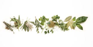 今こそ知っておきたい 絶滅危惧植物 の現状 ハーパーズ バザー Harper S Bazaar 公式 今こそ知っておきたい 絶滅危惧植物 の現状 ハーパーズ バザー Harper S Bazaar 公式