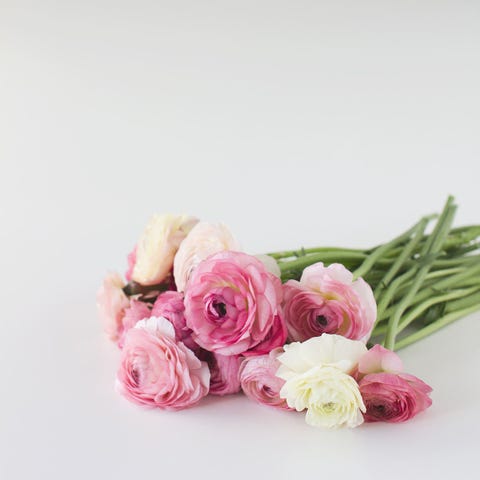 ピッパ ミドルトンの結婚式を手がけたフローリストにask 18ウエディングブーケのトレンドtop5 ハーパーズ バザー Harper S Bazaar 公式