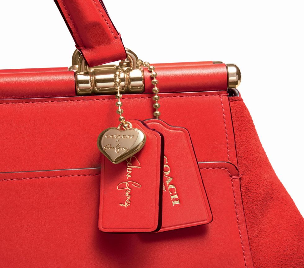 Red, Carmine, Maroon, Material property, Metal, Leather, Coquelicot, Shoulder bag, Strap, Chain, 