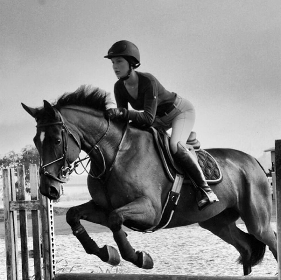 Horse, Mammal, Bridle, Vertebrate, Rein, Equestrianism, Halter, Animal sports, Saddle, English riding, 