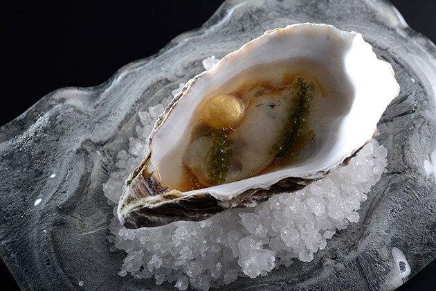 Bivalve, Liquid, Oyster, Seafood, Shellfish, Natural material, Clam, Molluscs, Abalone, Delicacy, 